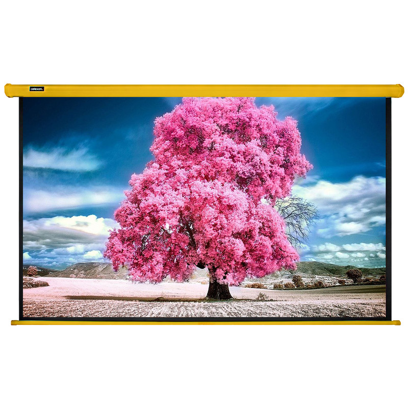پرده نمایش برقی سلکسون مدل CS250AG سایز 250x250 سانتی‌متر