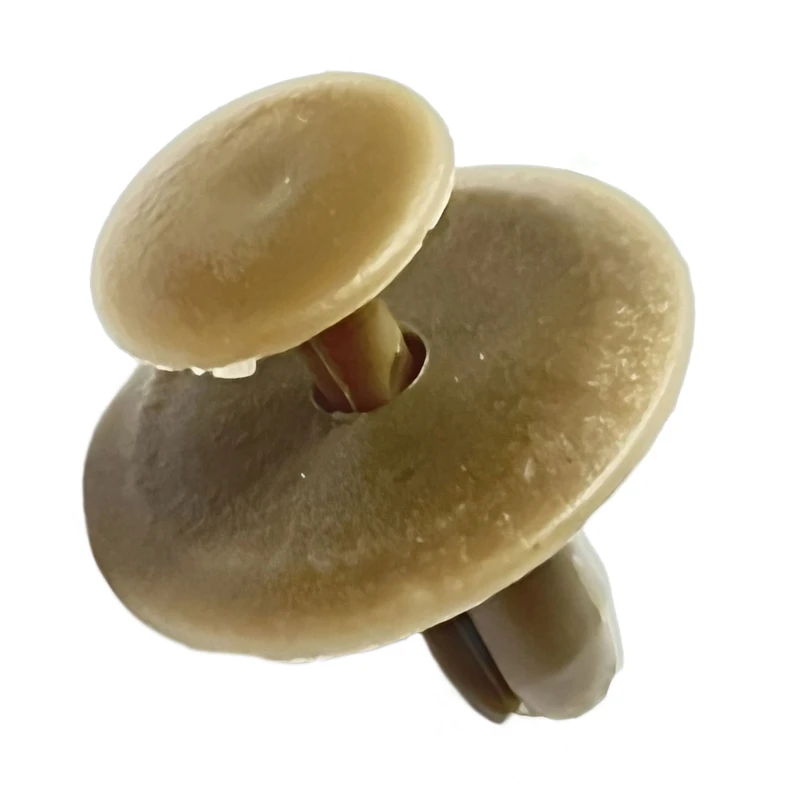 خار آمپولی و موکت خودرو وارون مدل P-338 مناسب برای پژو 405 بسته 20 عددی 