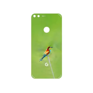 MAHOOT European bee-eater Cover Sticker for Google Pixel