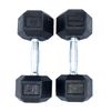 دمبل مکسول کد MX10 وزن 10 کیلوگرم بسته ۲ عددی