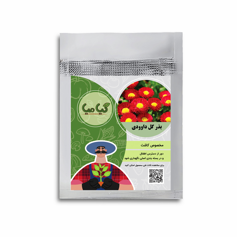 بذر گل داوودی گیامیا مدل DF888