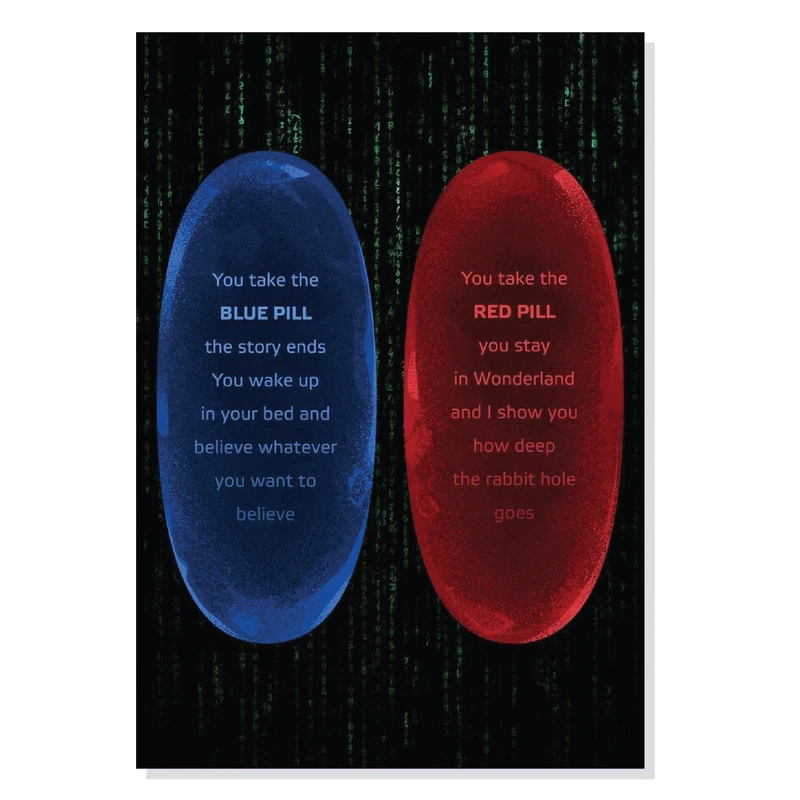 تابلو شاسی طرح قرص آبی و قرمز ماتریکس Matrix Blue and Red Pills مدل M0377