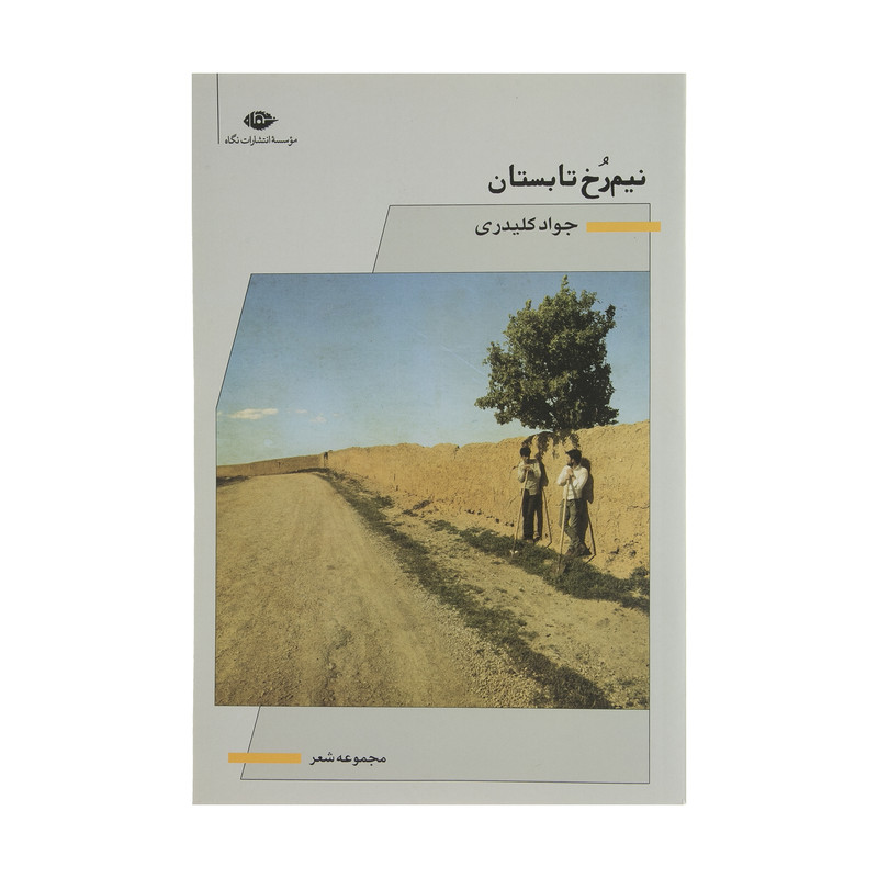 کتاب نیم رخ تابستان اثر جواد کلیدری نشر نگاه