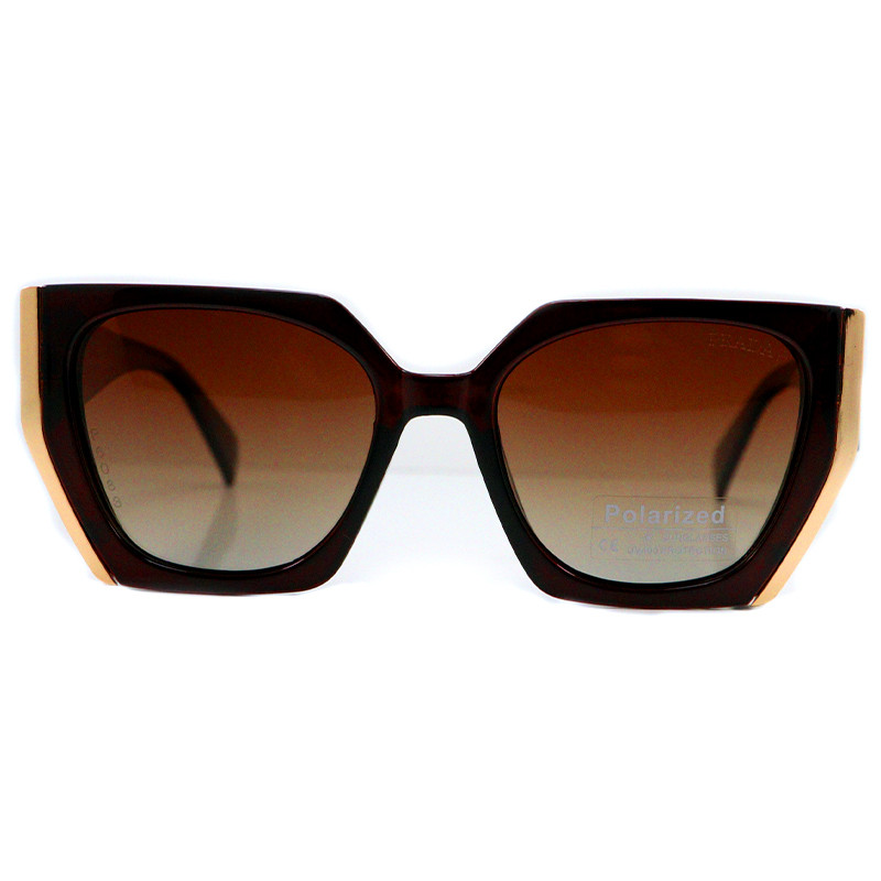 عینک آفتابی مدل 6083