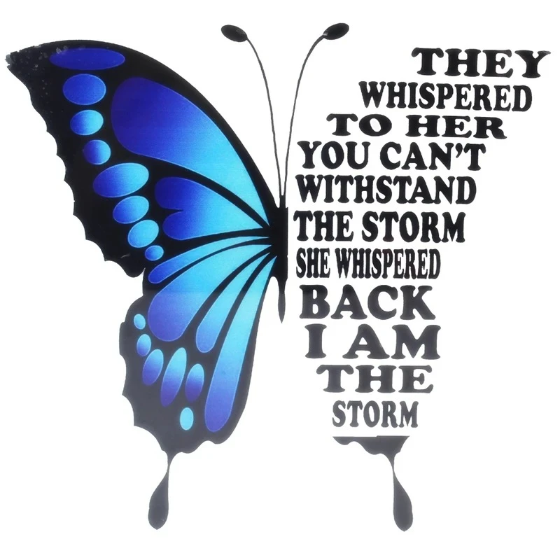 استیکر پارچه و لباس کارانس مدل  پروانه کد AST-41 بسته 2 عددی