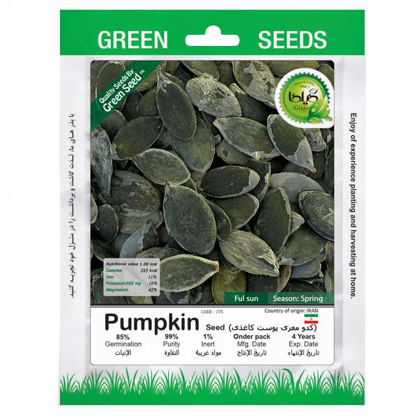بذر کدو مغزی پوست کاغذی گیلدا کد 775