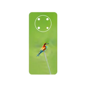MAHOOT European bee-eater Cover Sticker for Huawei Nova Y90