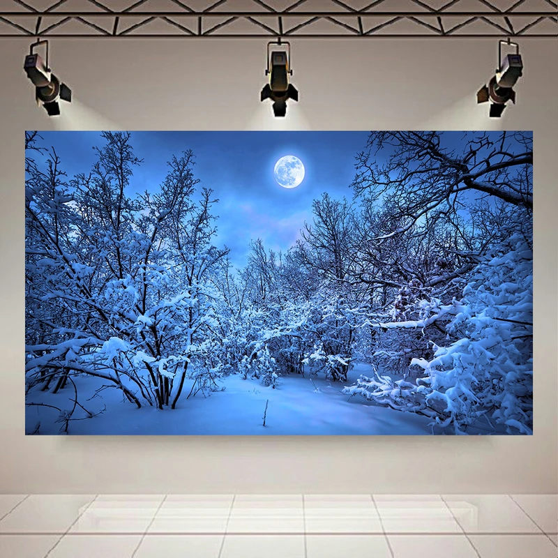 تابلو بوم طرح مخمل جنگل برفی مدل ماه کامل کدAR305288