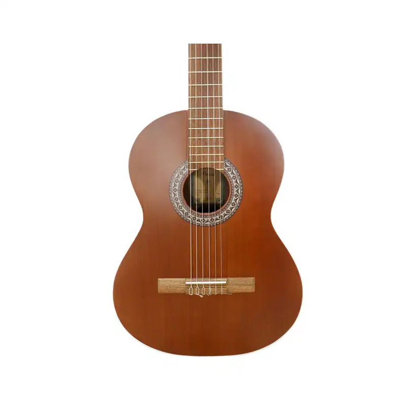 گیتار پارسی مدل p40