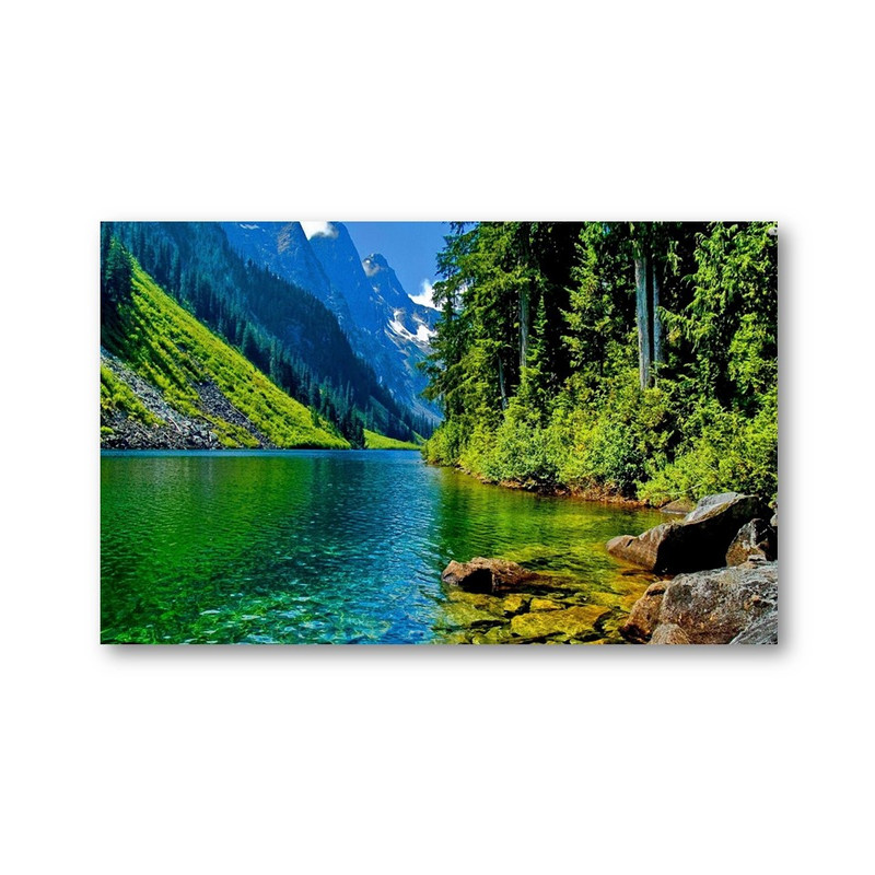 تابلو شاسی مدل طبیعت آرامبخش