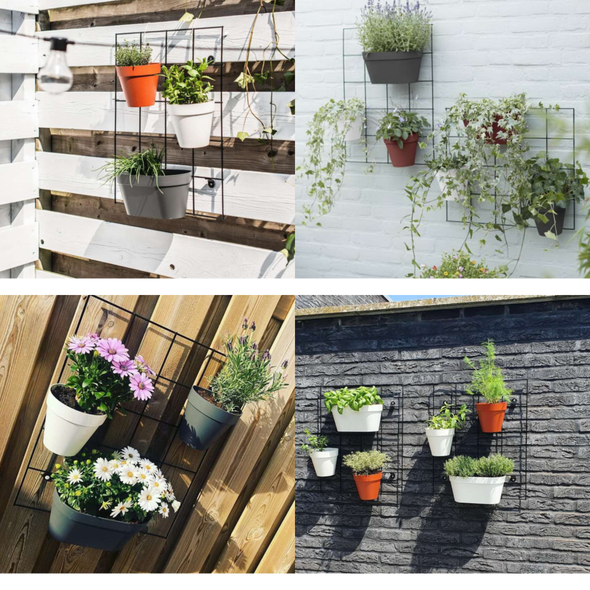 گلدان مدل گرد دیواری کد 15