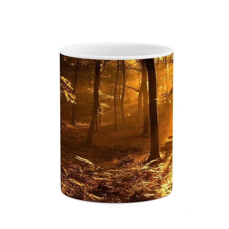 ماگ کاکتی مدل جنگل کد mgh11211