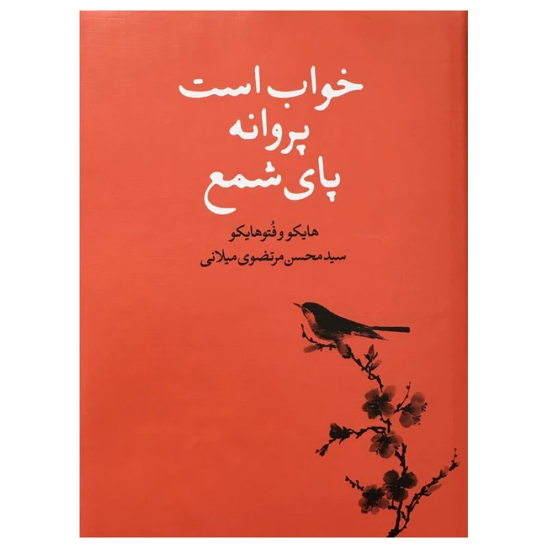 کتاب خواب است پروانه پای شمع: هایکو و فتوهایکو اثر سیدمحسن مرتضوی میلانی انتشارات گوی