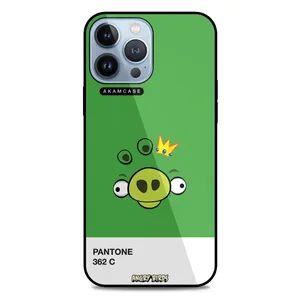 AKAM AMC-WA13PROMAX-ANGRY BIRDS13 Cover For Apple iPhone 13 Pro Max