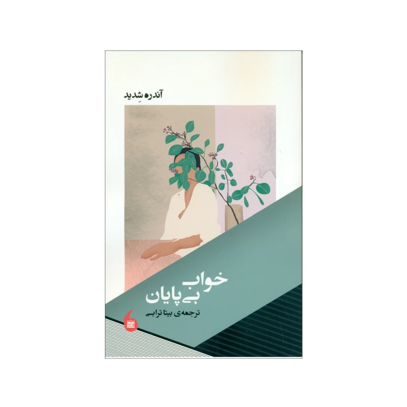کتاب خواب بی پایان اثر آندره شدید نشر مانما هنر