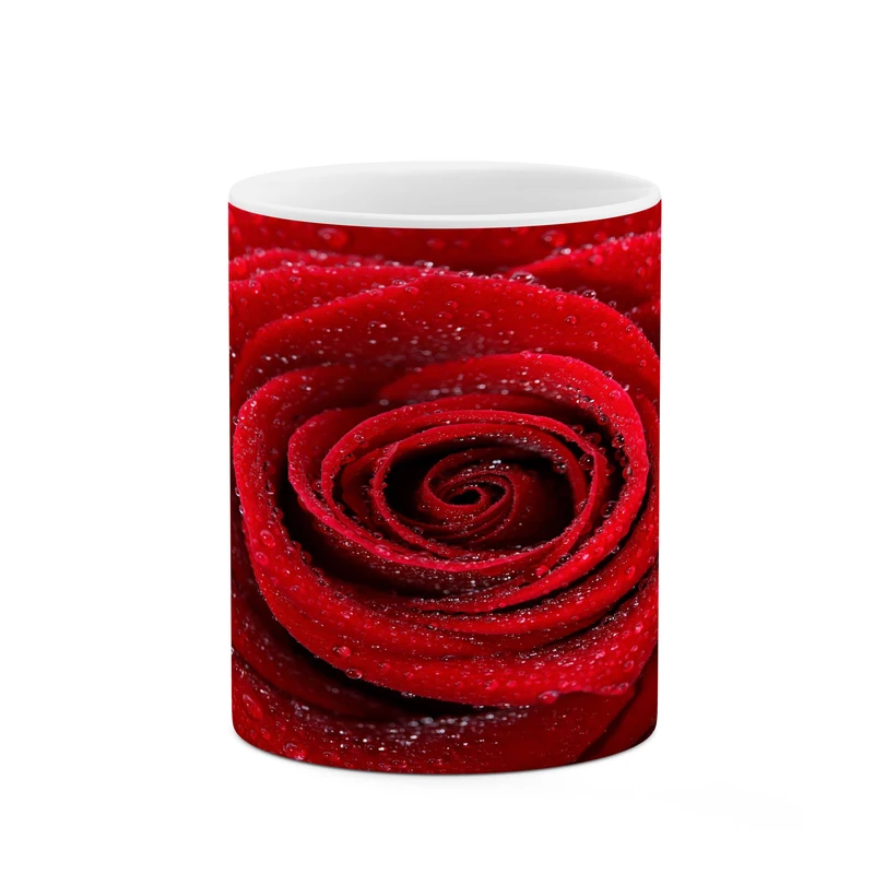 ماگ کاکتی مدل گل رز کد mgh18046