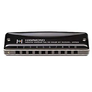 سازدهنی دیاتونیک سوزوکی مدل HA-20-C