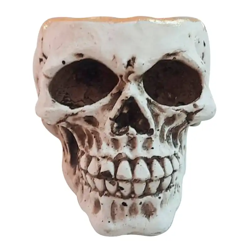 زیرسیگاری مدل جمجمه42