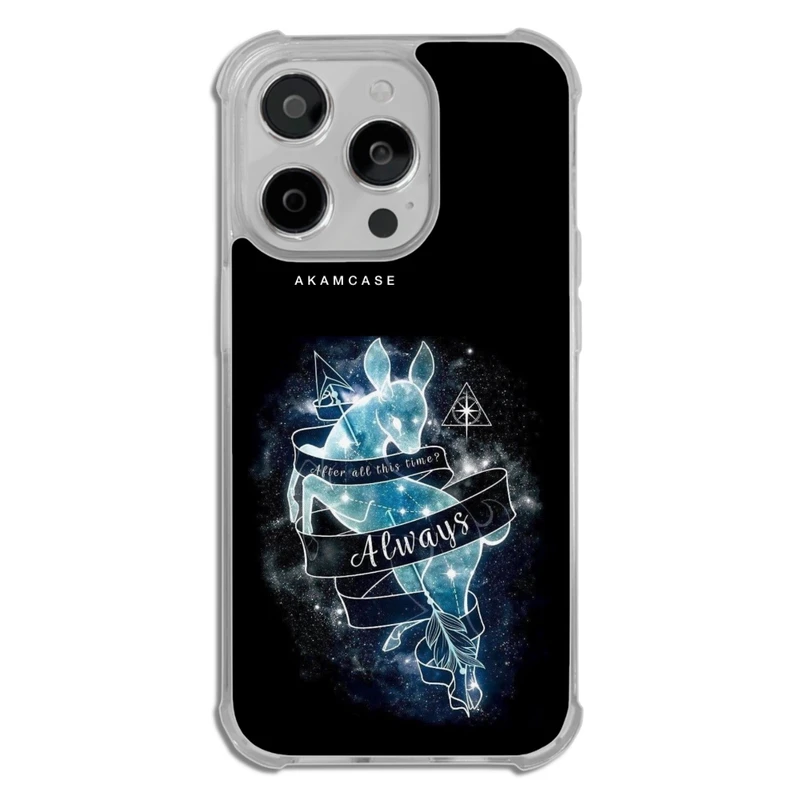 کاور آکام مدل AMCWTA14PRO-HARRY POTTER2 مناسب برای گوشی موبایل اپل iPhone 14 Pro