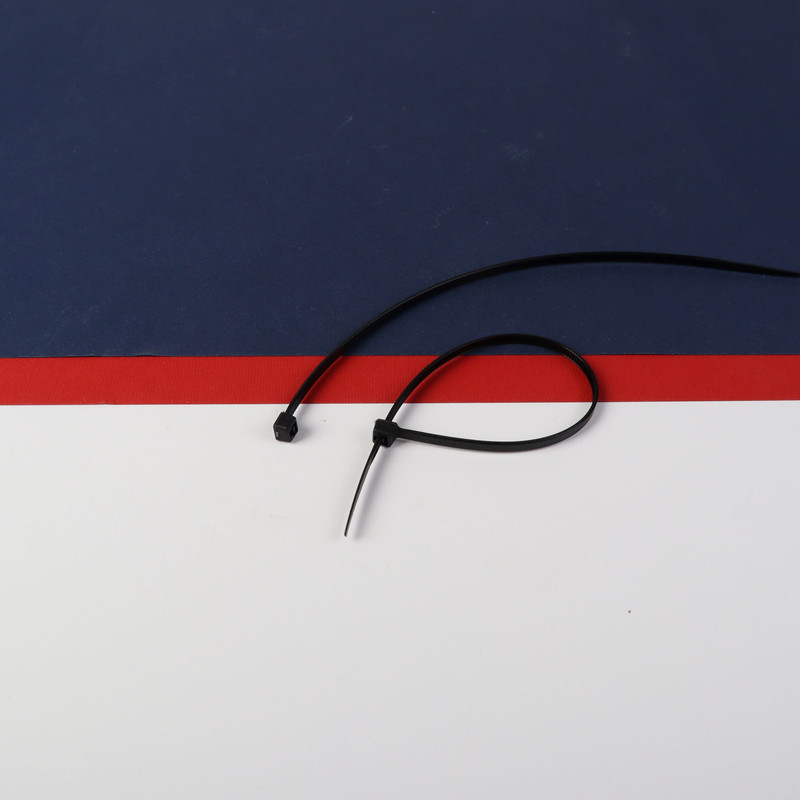 بست کمربندی بروکس مدل BIG9512 کد 20cm بسته 100 عددی