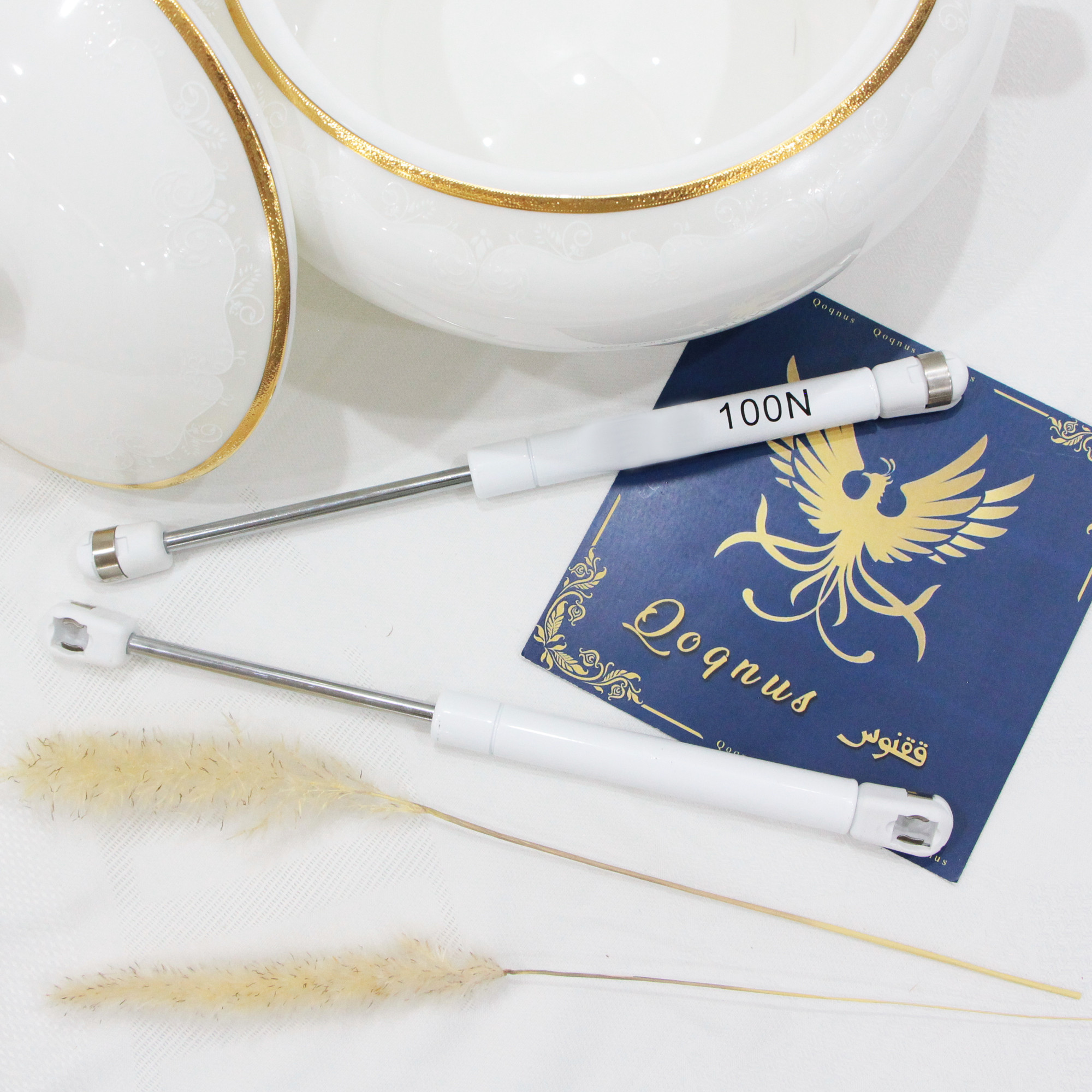 جک کابینت ققنوس مدل 100 نیوتن LUX مجموعه دو عددی جک کابینت ققنوس مدل 100 نیوتن LUX مجموعه دو عددی