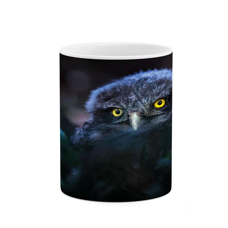 ماگ کاکتی مدل جغد کد mgh16904