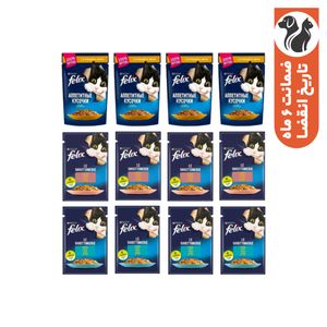 پوچ گربه بالغ فلیکس مدل The Delicacies in Sauce بسته 12 عددی