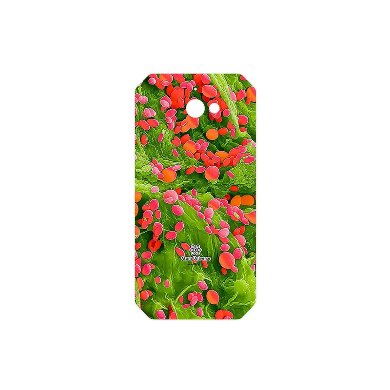 برچسب پوششی ماهوت مدل Atom Universe 3 مناسب برای گوشی موبایل کاترپیلار S50