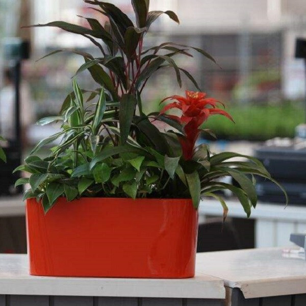 گلدان خودآبیار مدل G-H