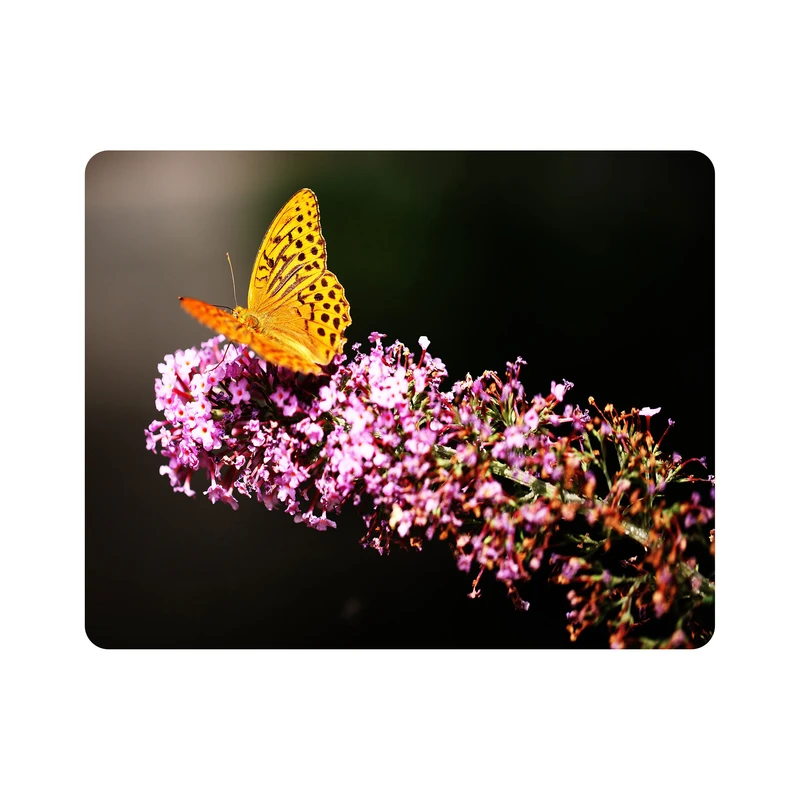 ماوس پد اطلس آبی طرح گل و پروانه مدل T1491