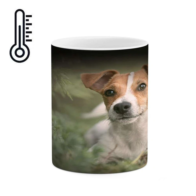 ماگ حرارتی کاکتی مدل سگ کد mgh16410