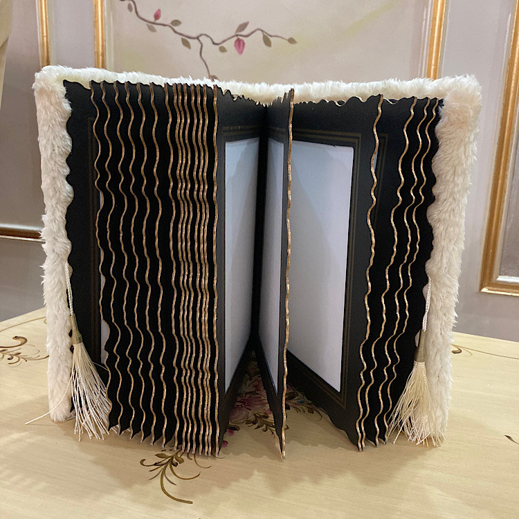 آلبوم عکس مدل پرنسس 16