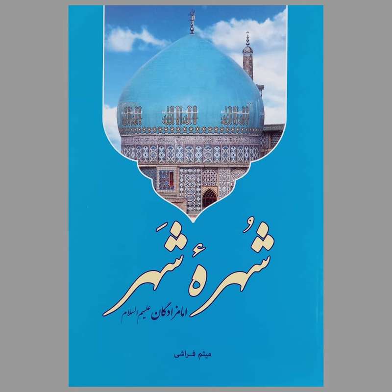 کتاب شهره شهر اثر میثم فراشی انتشارات تحسی