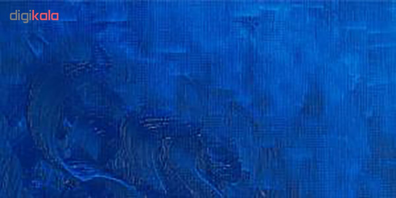 رنگ روغن وینزور اند نیوتون مدل COBALT BLUE HUE 15 حجم 37 میلی لیتر رنگ روغن وینزور اند نیوتون مدل COBALT BLUE HUE 15 حجم 37 میلی لیتر