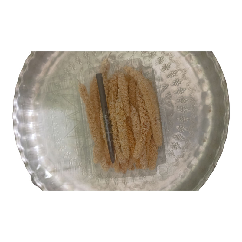 غذای پرندگان مدل ارزن خوشه ای ریز کد 10 بسته 100 عددی