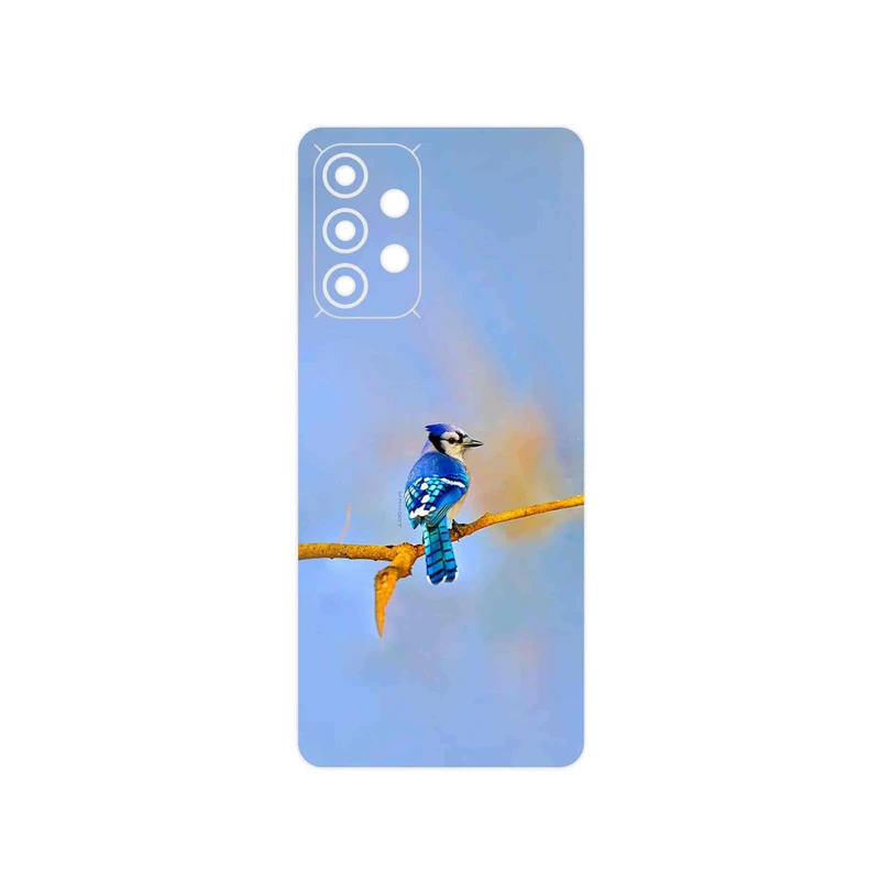 برچسب پوششی ماهوت مدل Cyanocitta cristata مناسب برای گوشی موبایل سامسونگ Galaxy A33 5G