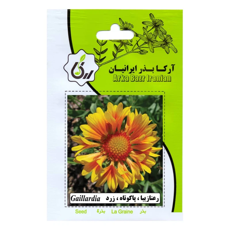 بذر گل رعنا زیبا پاکوتاه زرد آرکا بذر ایرانیان کد 90-ARK