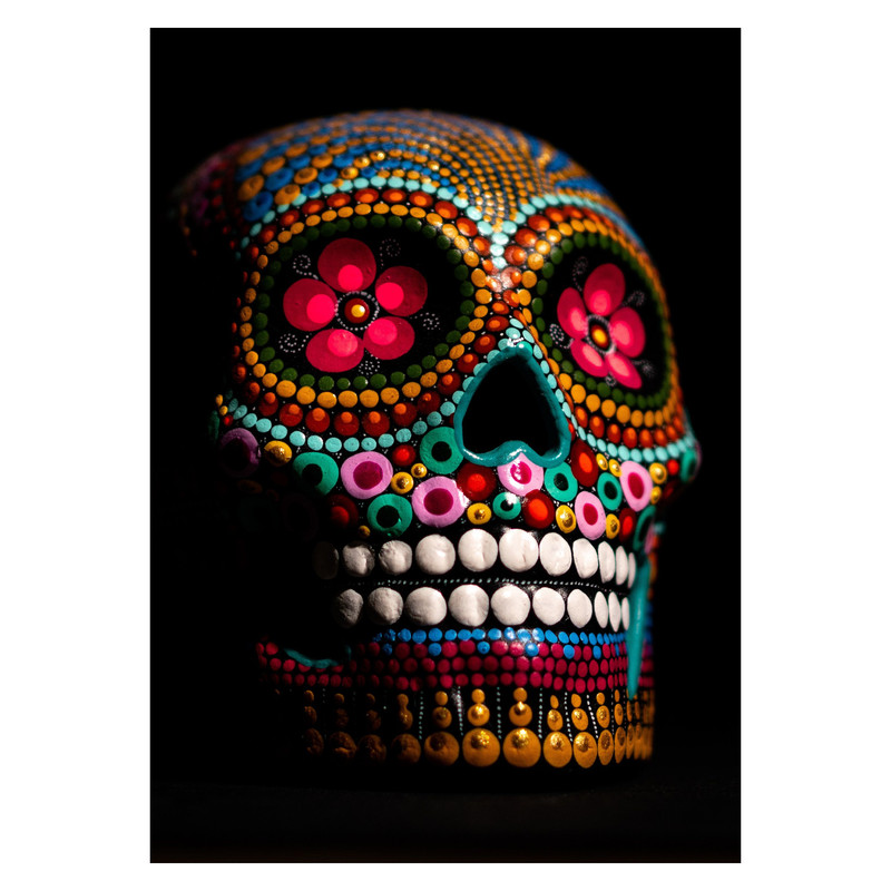 تابلو شاسی مدل skull کد 4