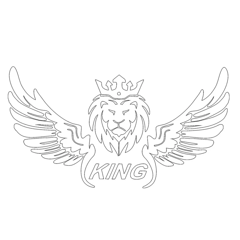 برچسب بدنه خودرو طرح بال کد SB0101