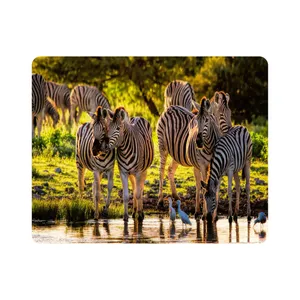 ماوس پد طرح گورخر و برکه مدل T8075