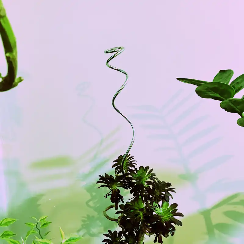 قیم بند مدل sorx