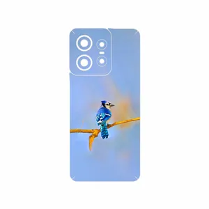 MAHOOT Cyanocitta cristata Cover Sticker for Motorola Edge 50 Pro