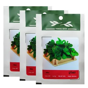 بذر نعناع وانیا سید کد S57 مجموعه 3 عددی