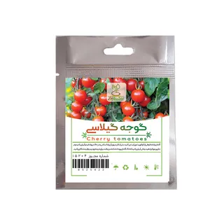 بذر گوجه گیلاسی نیکوبذر کد 1897