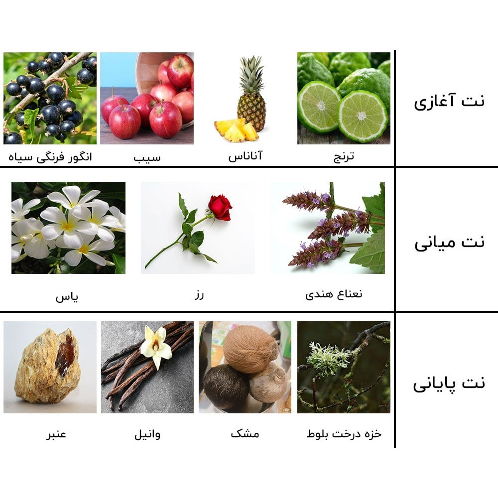 ادو پرفیوم مردانه نیفتی مدل کرید اونتوس  حجم 100 میلی لیتر