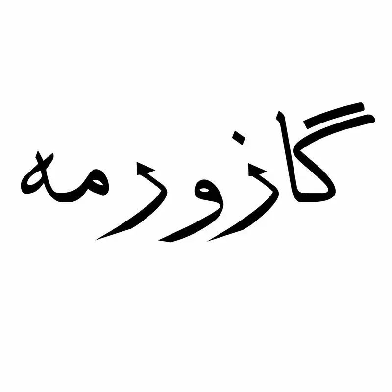 برچسب بدنه خودرو استیک طرح گاز ورمه کد 01G