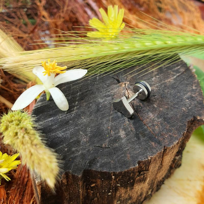 پیرسینگ گوش زنانه پایتخت مدل PS270