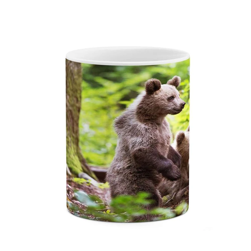 ماگ کاکتی مدل خرس کد mgh17107