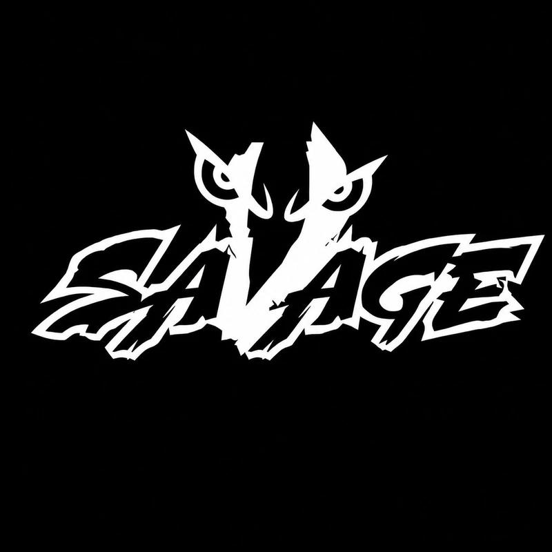 برچسب بدنه خودرو سولگی طرح Savage کد M250