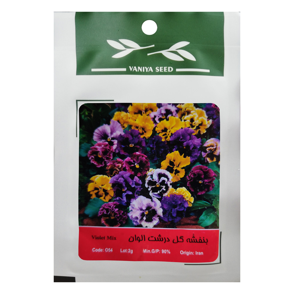 بذر گل بنفشه گل درشت الوان وانیا سید مدل O54